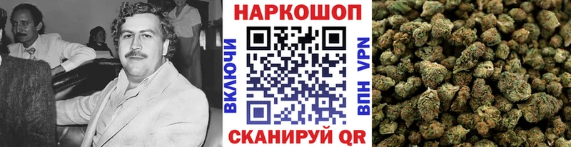 Где купить Пятигорск COCAIN  Меф  ГАШ  Канабис 