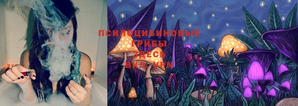 винт Магас