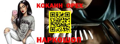спиды Кингисепп