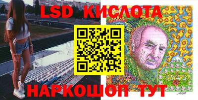 спиды Кингисепп