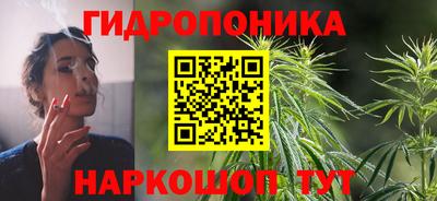 спиды Кингисепп