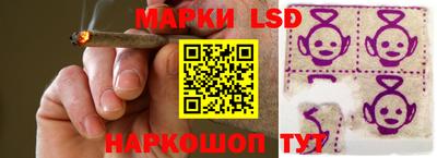 спиды Кингисепп