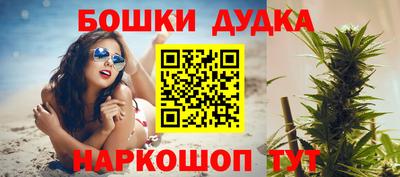 спиды Кингисепп