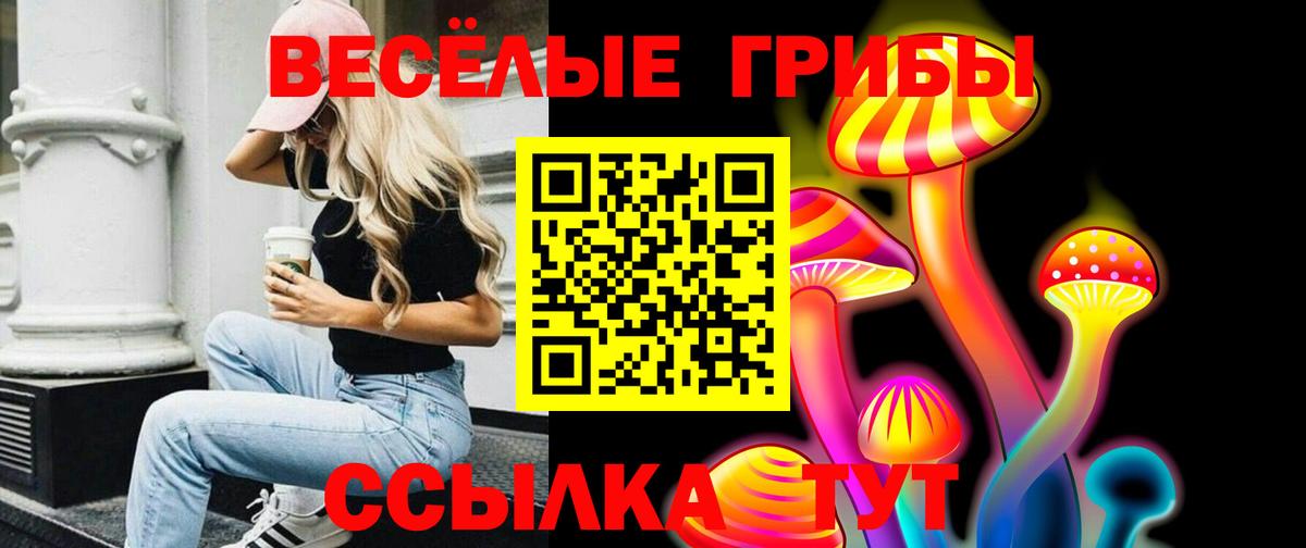 Галлюциногенные грибы Magic Shrooms Пятигорск